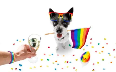 Gay pride dog Foto stock