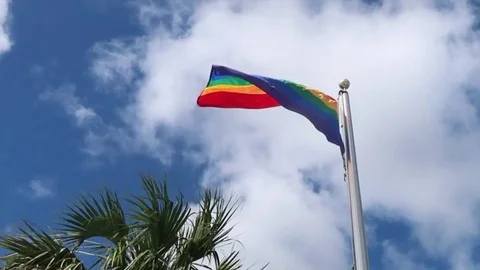 Gay Pride Flag Stock Footage