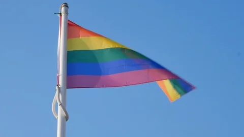 Gay Pride Flag Stock-Footage 95202912