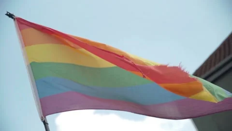 Gay pride flag Stock Footage 194139544