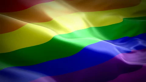 Gay Pride flag seamless loop. Gay concept flag Closeup Stock Footage 102497623