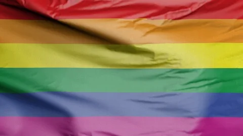 Gay pride Rainbow Flag Stock Footage 116069852