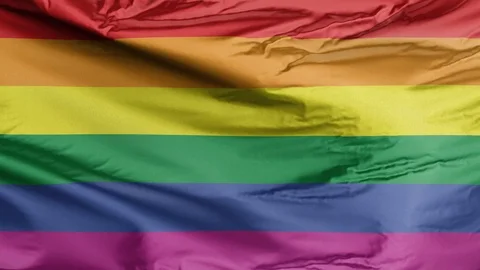 Gay pride Rainbow Flag Stock Footage 116069880