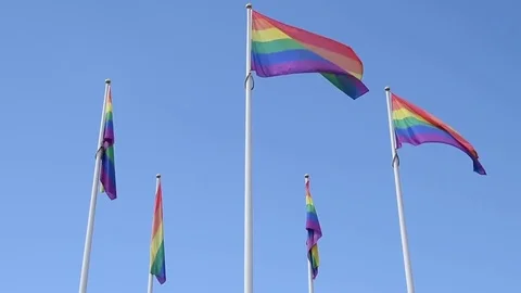 Gay Pride Rainbow Flags Stock Footage 73440906