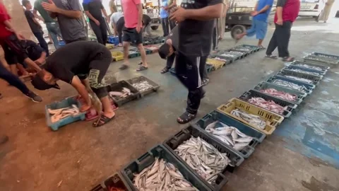 Gaza authorities concerned about the increase in illegal fishing, Gaza, PS - 29  Video stock 204163569