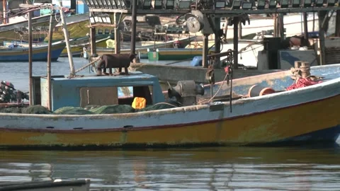 Gaza Beach Stock Footage 268752643