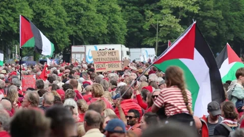 Gaza protestors crowd at Malieveld 動画素材 311558455