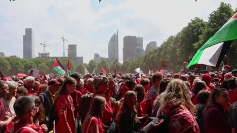 Gaza red line protest Malieveld The Hague 動画素材 309469331