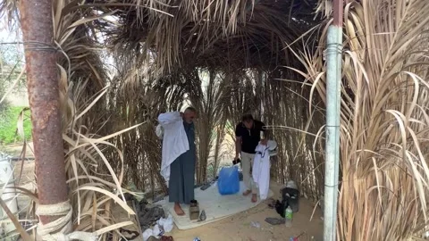 Gazan beekeeper struggles to save his bees amid Israeli offensive, Khan Yunis, P Stock Footage 342936329