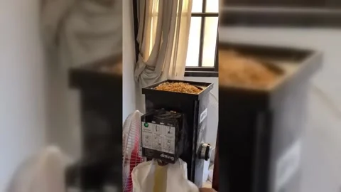 Gazans Grind Maize To Replace Wheat Stock Footage 262516871