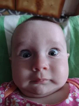 A Gaze That Feels Everything Stock Photos