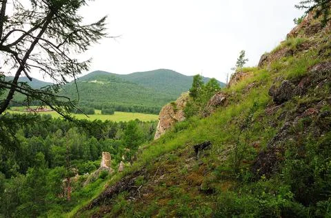Gaze through pine branches to a high cliff overlooking a picturesque valley. Stock Photos