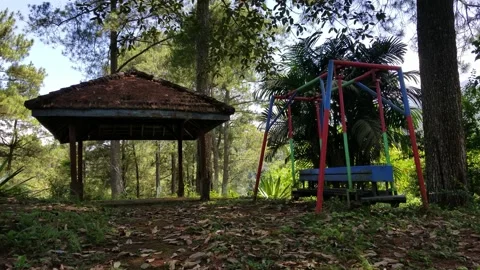 Gazebo and swing in the forest Stock Footage 208859194