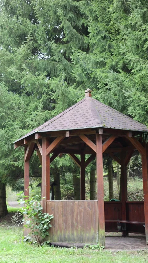 Gazebo in the forest vertical video Stock Footage 288008340