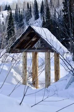 Gazebo in the forest in winter Stock Photos