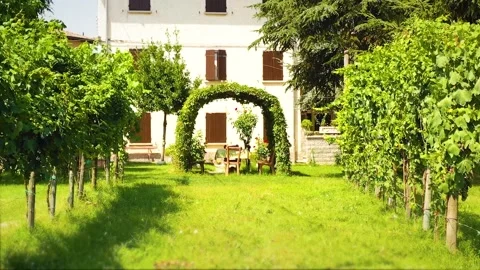 Gazebo Garden 스톡 동영상 143007667