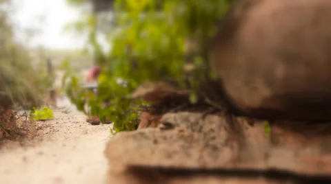 Gazebo in Israel Stock Footage 39131271