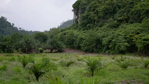 Gazebo located under the mountains Stock Footage 237776112
