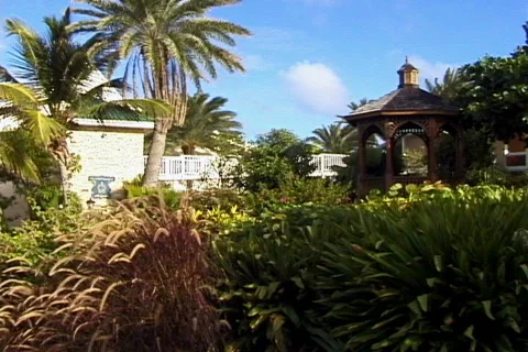 Gazebo People Video stock 817745