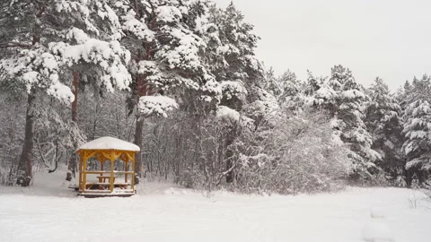 Gazebo in the winter forest Video stock 146975692