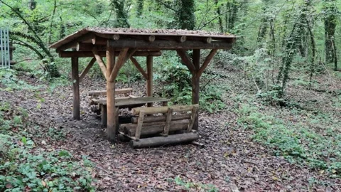 Gazebo in the woods, a table with benches under a canopy. Stock Footage 221304085