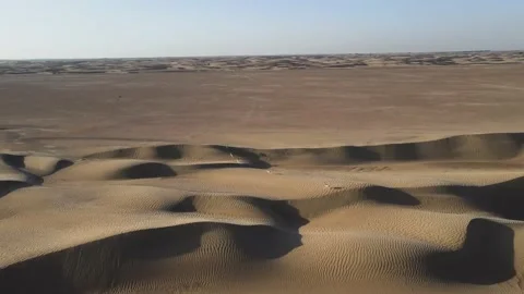 Gazelles in the Desert Stock Footage 156960993