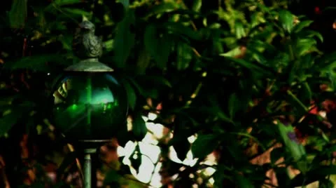 Gazing Ball Stock Footage 10899565