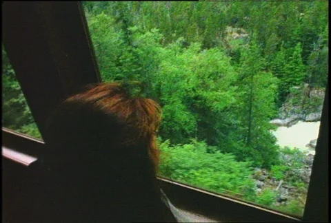 Gazing Out a Train Vídeo Stock 357040