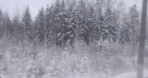 Gazing out from a train window, the winter landscape of icy woods unfolds. Stock Footage 253285415