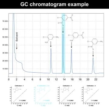 GC chromatogram example Stock Illustration