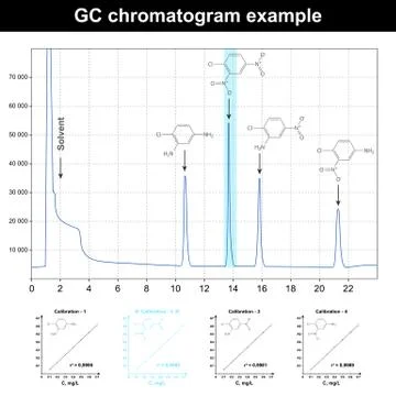 GC chromatogram example Stock Illustration