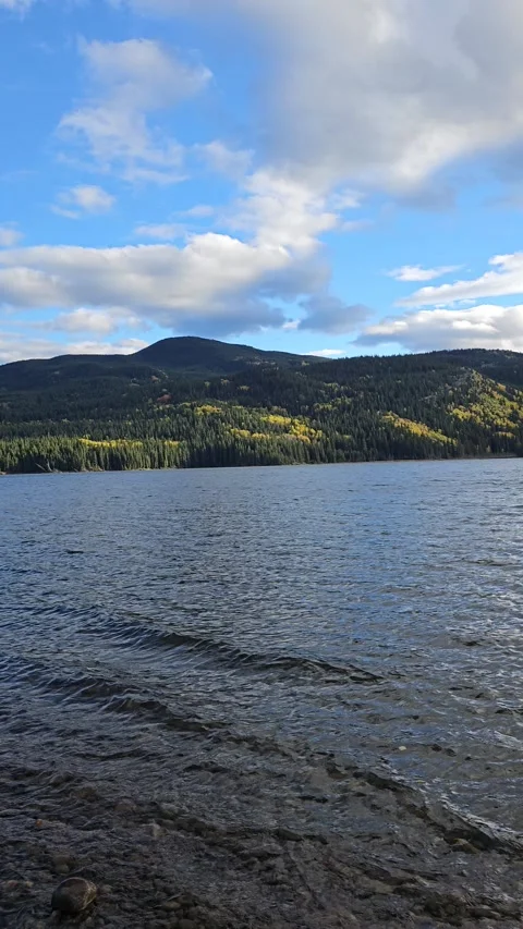 GC Lake 動画素材 295958948