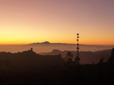 GC &amp; TF Фото