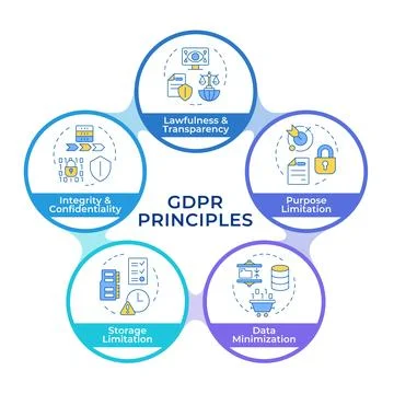 GDPR principles infographic circles flowchart Illustrazione stock