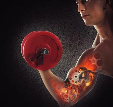 Gear muscles Stock Photos