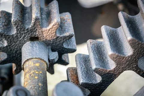 A gear wheel or pinion is a basic part of a gear train in the form of a disc  Stock Photos