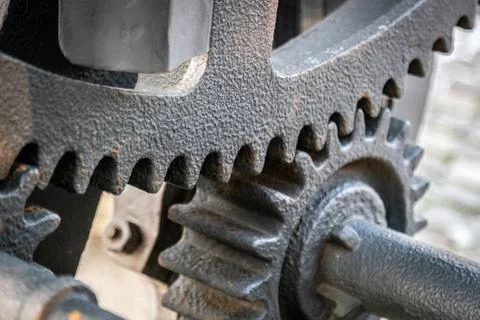 A gear wheel or pinion is a basic part of a gear train in the form of a disc  Stock Photos
