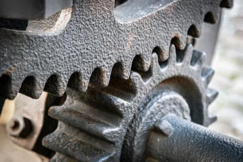 A gear wheel or pinion is a basic part of a gear train in the form of a disc  Stock Photos