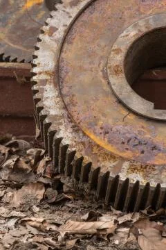 Gear-wheel Stock Photos