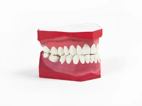 Gebiss Stock Photos
