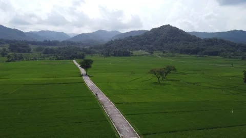 Geblek Menoreh View Stock Footage 194615955