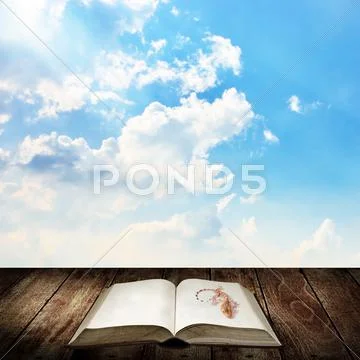 Gecko on the book, Wake up for reading concept Stock Illustration