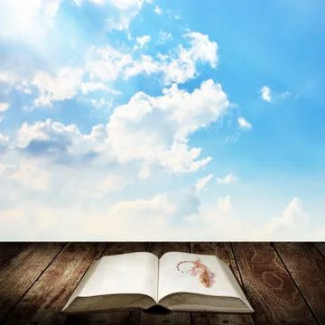 Gecko on the book, Wake up for reading concept 스톡 일러스트