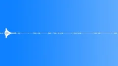 Gecko call night sounds ste000Sound Effect