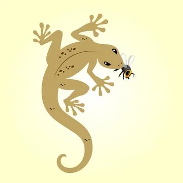 A gecko capturing a fly in its mouth Stock Illustration