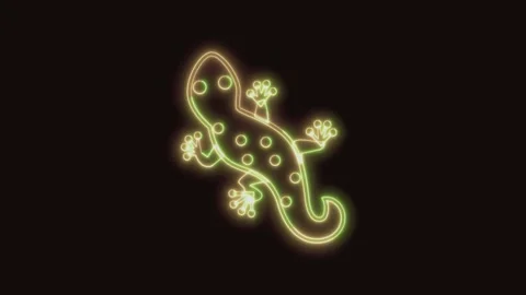 Gecko Icon Neon Seamless Loop 4K (Black Background) Stock Footage 310358058