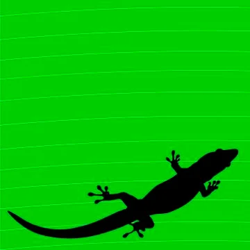 Gecko lizard イラスト素材