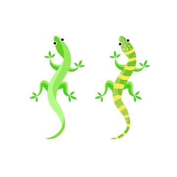 Gecko or lizard Vector illustration Stock Illustration