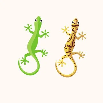 Gecko or lizard Vector illustration Stock Illustration