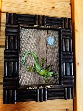 Gecko in a rustic wooden frame featuring Seychelles Valle de Mai and tropic.. Stock Photos